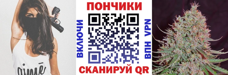 APVP Камызяк