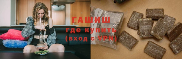 гашик Алексин