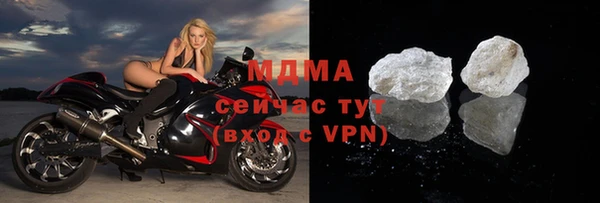 гашик Алексин
