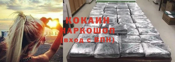 соль ск Алексеевка