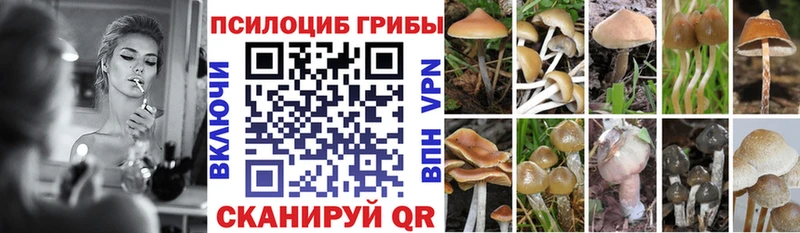Купить где  Камызяк  Псилоцибиновые грибы ЛСД 